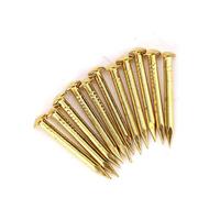 Bewinner Brass Round Head Nails for Furniture Hinge Hardware, 100 Pack