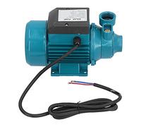 Bewinner DC12V 180W Unipolar Impeller 15m Max Lift Horizontal Single Suction Irrigation Tool, 1.5m³/H Boiler Water Supply Solar Pump, Clean Mini Electric Motor