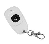 Bewinner EV1527 Wireless 433MHz 1/2/3/4 Channel Garage Remote Controller, Fixed Frequency, Easy Control, 100m Range, 1 Lithium Button Battery (Pre-installed)