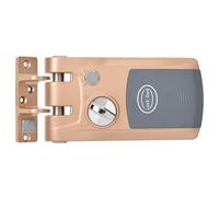 Bewinner Home Security Intelligent Lock Anti Theft Keyless Door Lock with 4 Remote Controllers, Dual Motor Electronic Deadbolt, Low Battery Alarm, Easy Installation for Home Office Hotel