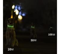 Bewinner LED Dog Collar, USB Rechargeable Flash Dog Safety Band - One Size - Long Lasting Use Up to 8 Hours, Suitable for Labradors, Collies (Pink)