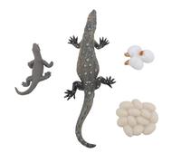 Bewinner Lizard Life Cycle Toy Set, 4 Pcs Realistic Reptile Growth Cycle Figures for Kids, Educational Animal Model Toys for Learning Biology & Nature