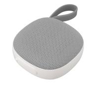 Bewinner Magnetic Bluetooth Speaker | BT5.3, IPX6, SD Card Slot, 5W 360° Sound - Perfect for Golf Carts & Bags (Gray)