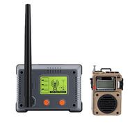 Bewinner Portable FM MW SW Radio with Bluetooth 5.2, Digital Receiver with 3W Speaker, 256GB Memory Card Support, Remote Control, Rechargeable Battery for Home and Outdoor