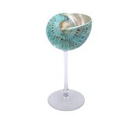 Bewinner Seashell Conch Wine Glasses, Natural Shell Cup for Weddings