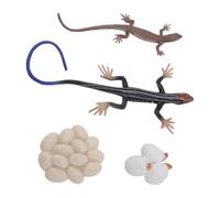 Bewinner Skink Life Cycle Toy Figurines, Educational Animal Models for Kids, PVC Sandbox Accessories with Lifelike Features and Vibrant Colors