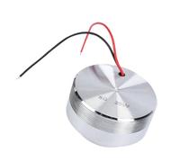 Bewinner Stainless Steel Resonance Speaker, 25W Full Range Vibration 360° Surround Sound Compact 50mm Bass Loudspeaker for PC Mobile Phone MP3 Player Silver