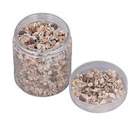 Bewinner Tiny Sea Shells and Conch, Natural Spiral Seashells for DIY Crafts, Jewelry Making, Fish Tank Decor, Beach Party and Home Decoration