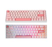 Bewinner Wired 60% Mechanical Gaming Keyboard - 68 Key RGB Backlit, Anti Ghosting, Hot Swappable, Gaming Keyboard for Computers