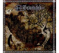Bewitched - Unveiling Zion: The Mother's Return