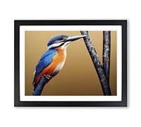 Bewitching Kingfisher Bird Framed Print | A2 Black Framed Wall Art | Ready to Hang | Modern Nature Picture | Living Room Bedroom Lounge Office