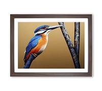 Bewitching Kingfisher Bird Framed Print | A2 Walnut Framed Wall Art | Ready to Hang | Modern Nature Picture | Living Room Bedroom Lounge Office