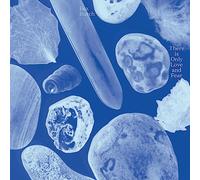 BEX BURCH - THERE IS ONLY LOVE AND FEAR