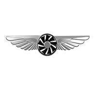 Bexdug Car Aromatherapy Diffuser - Flying Eagle Car Air Purifier | Funny Vehicle Vent Ornaments, Auto Interior Accessories for Trucks