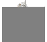 Bexdug Dog Coat with Harness - Small Dog Vest Harness With Puppy Winter Cold Weather Coat - Thick Padded Warm Coat Vest Clothes for Puppy Small Medium Large Dogs