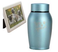 Bexdug Pet Memorial Ashes Urn | Small Stainless Steel Keepsake Urns For Human Ashes | Metal Sharing Personal Funeral Urn For Pet Or Human Ashes