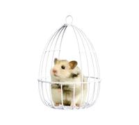 Bexdug Small Animal Hammock,Iron Dwarf Hamster Toys | House Nest Sleeping Swing Hiding Training Pet Supplies for Small Animals Squirrel Dwarf Rabbits Sugar Glider