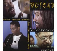 Beyond Electronic Garage - African American Grooves for the Common Man