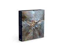 Beyond Extinction: The Eternal Ocean COLLECTORS EDITION Limited to 100 copies