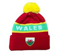 Beyond Happy Wales Cymru Winter Hat
