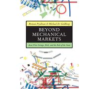 Beyond Mechanical Markets: Asset Price Swings, Risk, and the Role of the State