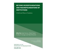 Beyond Microfoundations and Macrofoundations of Institutions : A Multi-Level Theory of Institutions