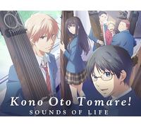 Beyond the Right Answer