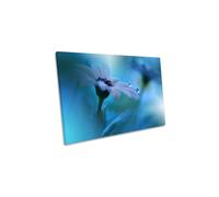 Beyond Visible Blue Flower Floral Canvas Wall Art Picture Print CanvasGeeks Blue W24 inch x H16 inch x D20mm