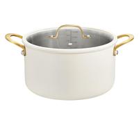 BEZIA Large Stainless Steel Stock Pot, 12 Quart Large Cooking Pot with Lid, Casserole with Lid, Even Heat Distribution, Induction Compatible Soup Pot, Ideal for Stews, Simmering & Soups
