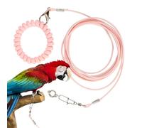 Bezijhr Parrot Flying Rope, Outdoor Detachable Parrot Pet Flying Rope, Anti-Bite Pet Training Toy with Bird Ankle Foot Ring for Outing, Terrace, Courtyard, Garden