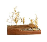 Bffcnl Miniature Landscape Kit DIY Micro Landscape Decoration Authentic Rock Pebbles for Diorama Making, Desk Display, Nordic Autumn Scene Material Pack