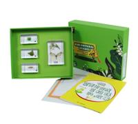 Bffcnl Nature Sample Kit Hands on Educational Sample Kit s for Students, Homeschool, Seashells With Beautiful Houses
