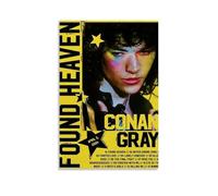 BFQMBKJUQ Conan Gray Found Heaven Poster Art Decorative Painting Gifts Moisture-Proof Fade Resistant Art Gifts Waterproof Fouling Home Store Decoration 16x24inch(40x60cm) Unframe-style