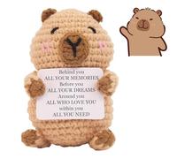 BFSYRR Capybara Plush, Crochet Kit, Emotional Support Gift, Capybara Stuff With Encouraging Card, Emotional Support Potato Pocket Hug For Family Friends As Birthday Gifts