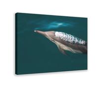 BFTIUTG Dolphin Surfacing from The Ocean Scene Print Canvas Poster Wall Art Decor Print Picture Paintings for Living Room Bedroom Decoration 20x30inch(50x75cm)