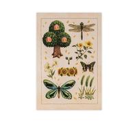 BFTIUTG Summer New Horizons- Nature Research, Insects, Plants, Printing Canvas Poster Bedroom Decor Landscape Office Room Decor Gift 08x12inch(20x30cm)