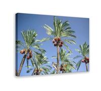 BFTIUTG The Palms of The Gaza Valley - Palestinian Nature Poster Canvas Poster Bedroom Decor Landscape Office Room Decor Gift 24x36inch(60x90cm)