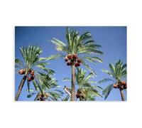 BFTIUTG The Palms of The Gaza Valley - Palestinian Nature Poster Canvas Poster Wall Art Decor Print Picture Paintings for Living Room Bedroom Decoration 08x12inch(20x30cm)