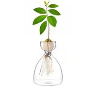 BFYDOAA Avocado Seed Starter Glass Vase - Small Tree Plant Pot Clear Grow Bottle for Gardening Lovers Children Gift(B)