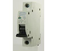 BG British General - CUMB6 - 6a Type B Single Pole MCB