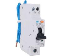 Bg Compact Rcbo, Type Ac, C Curve, 10A