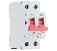 BG CUSW100 100A Double Pole 2 Module Main Switch (Isolator)
