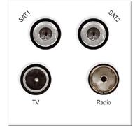 BG EMTVFMSAT2W Euro Module TV, Radio, Dual Satellite Module - White