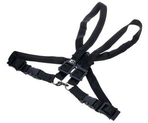 BG France S41M Strap Ladies