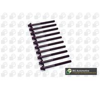 Cylinder Head Bolt Set Fits BMW 1 Series 3 Series Land Rover MG Rover BGA BK5383