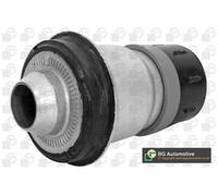 BGA BU6305 Axle bush