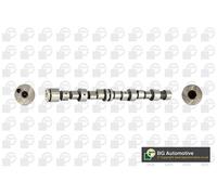 2x ✅Fits BGA CS6387 CAMSHAFT ⭐UK Seller⭐