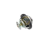 BGA CT0120 Thermostat Fits Audi A1 A3 A4 A4 Allroad A5 A6 Q2 Q3 Q5 Seat Skoda VW