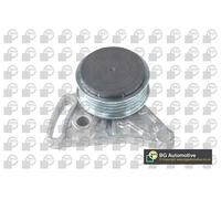 BGA DC0102 Auxiliary Belt Tensioner Pulley Fits Audi Skoda Vw A4 A6 Passat