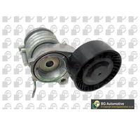 BGA DC0112 Auxiliary Belt Tensioner Lever Fits Seat Skoda Vw Cordoba Fabia Fox
